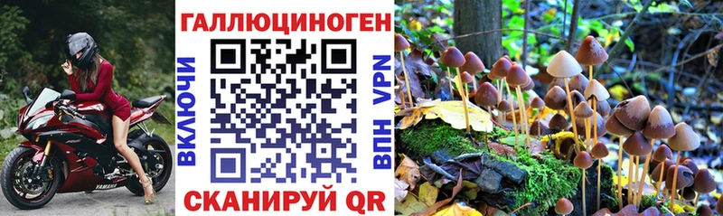 Псилоцибиновые грибы ЛСД  сколько стоит  mega вход  Томмот 